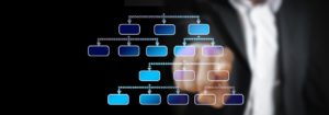 Organization Chart Businessman